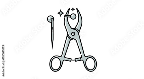 Scissors and a sewing needle.