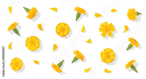Radiant yellow flowers and delicate detached petals are meticulously arranged in a balanced pattern across a clean white background with soft drop shadows.