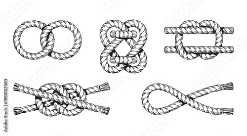 Set nautical rope knots vector black line art illustration hand drawn design element isolated on white