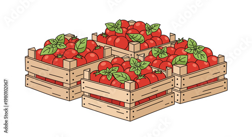 Four rustic wooden crates are filled to the brim with ripe red tomatoes and fresh green basil leaves, arranged in an isometric view on a white background.