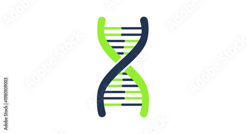 DNA Double Helix Structure
