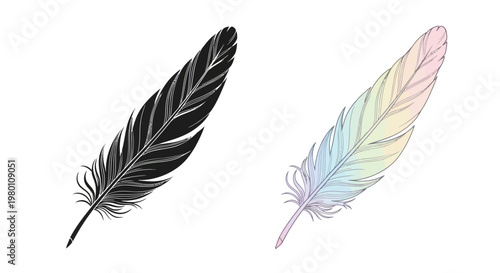 Black Quill Feather and Rainbow Watercolor Feather
