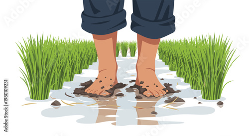 Bare feet stand firmly in a shallow muddy rice paddy surrounded by rows of lush green rice plants against a clean and bright white background setting.