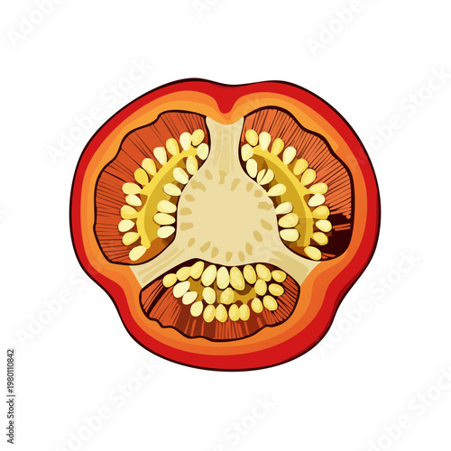Cross section of a vibrant red bell pepper with visible seeds and chambers