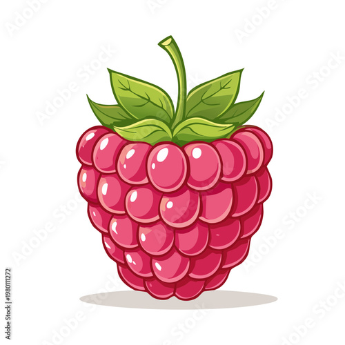Vibrant ripe raspberry with green leaves and stem a healthy sweet berry illustration