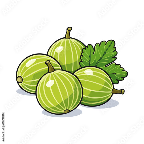 Vibrant green gooseberries with leaves, a healthy and delicious fruit illustration