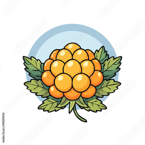 Hand drawn cloudberry fruit with green leaves and blue circle background illustration