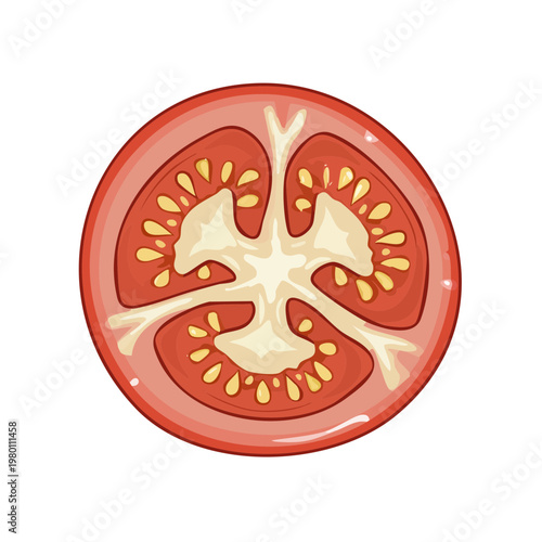 Fresh red tomato slice illustration healthy food concept with seeds and pulp
