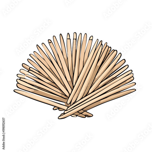 A fan of wooden toothpicks arranged in a circular pattern on a white background