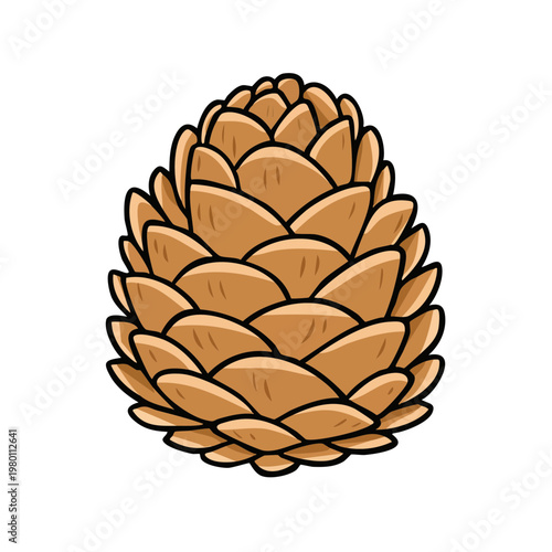 Detailed illustration of a pine cone with layered scales and natural brown coloring