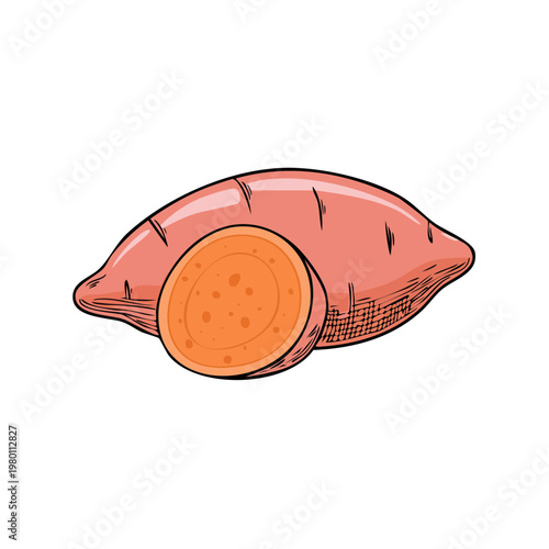 Fresh sweet potato with a slice showing its vibrant orange flesh and texture