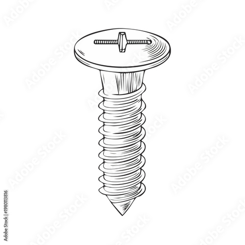 Detailed hand drawn illustration of a single metal screw with a cross head slot and sharp point isolated on white.