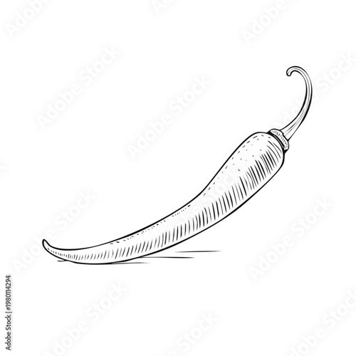 Hand drawn sketch of a single spicy chili pepper with textured shading and a curved stem