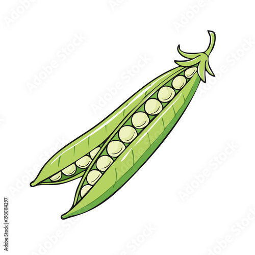 Fresh green pea pods overflowing with perfectly round peas, illustration