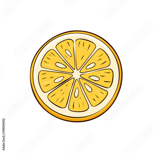 Vibrant yellow lemon slice illustration with detailed segments and juicy texture