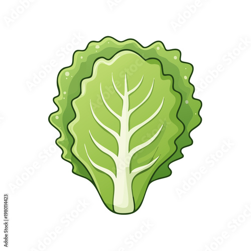 Crisp Green Lettuce Leaf Illustration Healthy Food Ingredient