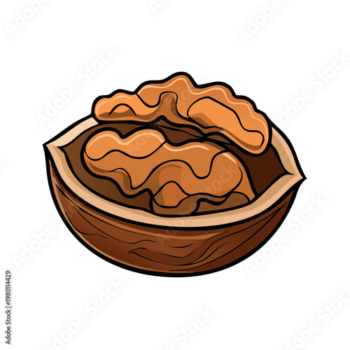 Cartoon of a cracked walnut with kernels inside and shell halves