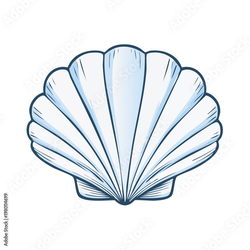 Stylized vector illustration of a single white scallop seashell with radiating ridges