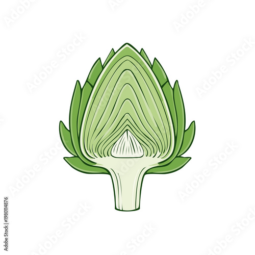 Cross-section of a fresh green artichoke showing layers and texture