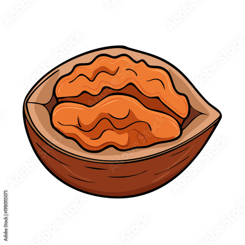 Illustration of a single walnut half showing its folded kernel inside a brown shell