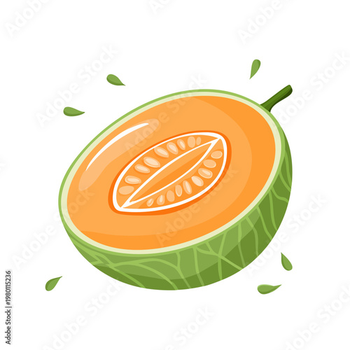 Juicy cantaloupe melon sliced in half showing vibrant orange flesh and seeds with water splash