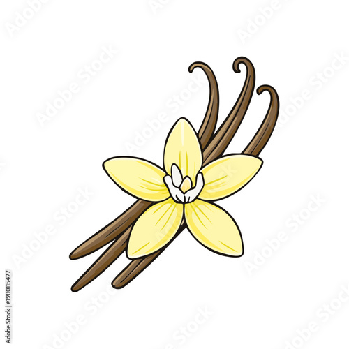 Fragrant Vanilla Bean Pods and Delicate Yellow Flower Illustration