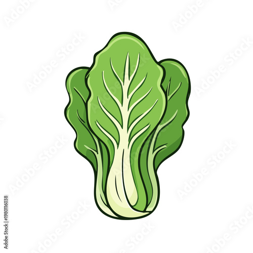 Fresh green bok choy vegetable illustration isolated on white background healthy food