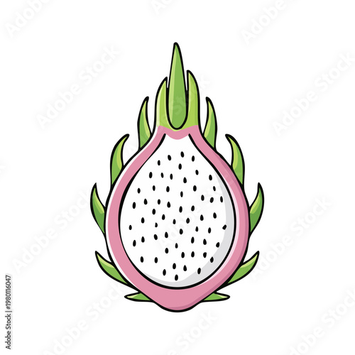 Exotic dragon fruit cut in half showing white flesh and black seeds, isolated illustration