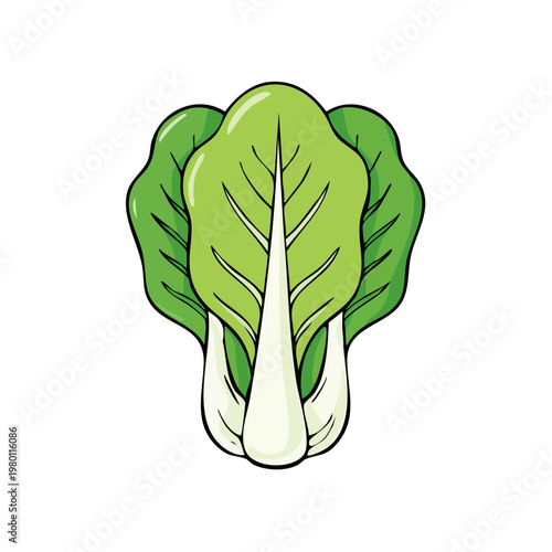 Vibrant Green Bok Choy Vegetable Illustration Fresh Leafy Greens for Healthy Eating