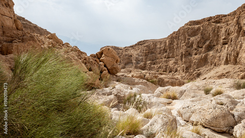Indescribable  beauty of the Judean Desert in area of ​​dried up bed of Izrakh River near coast of Dead Sea in southern Israel