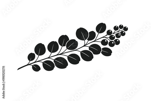 Minimalist Monochrome Botanical Eucalyptus Branch Silhouette with Round Leaves and Berries; Elegant Natural Design Element for Logo, Wedding Invitations, Eco-Friendly Branding, and Graphic Decor