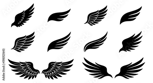 Black wing silhouette collection, set of 10 heraldic bird wings, decorative eagle and angel wing icons, vector graphic elements for logo design