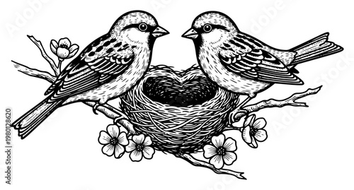 Birds sitting on blossom branches next to a nest in vintage engraving style