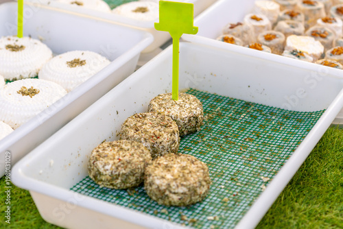 Different types of cheese displayed at a street market