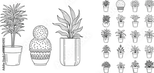 Set of potted plants line art collection with various houseplants and succulents black and white vector illustration