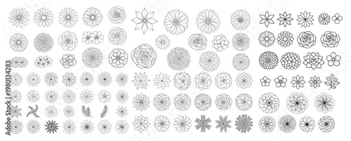 Succulent and Rosette Flower Line Art Set — Botanical Coloring Pages, Top-View Floral Patterns and Outlines