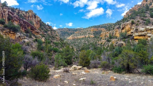 Rocky canyon gulch with steep walls and evergreen shrubs for landscape wallpaper nature poster and hiking design