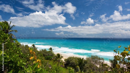 Turquoise ocean horizon tropical beach with palm trees for travel background panorama and coastal wallpaper