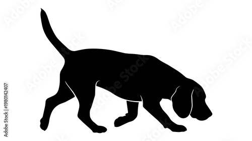 Foto Black silhouette of a hound dog sniffing the ground, isolated on transparent bac