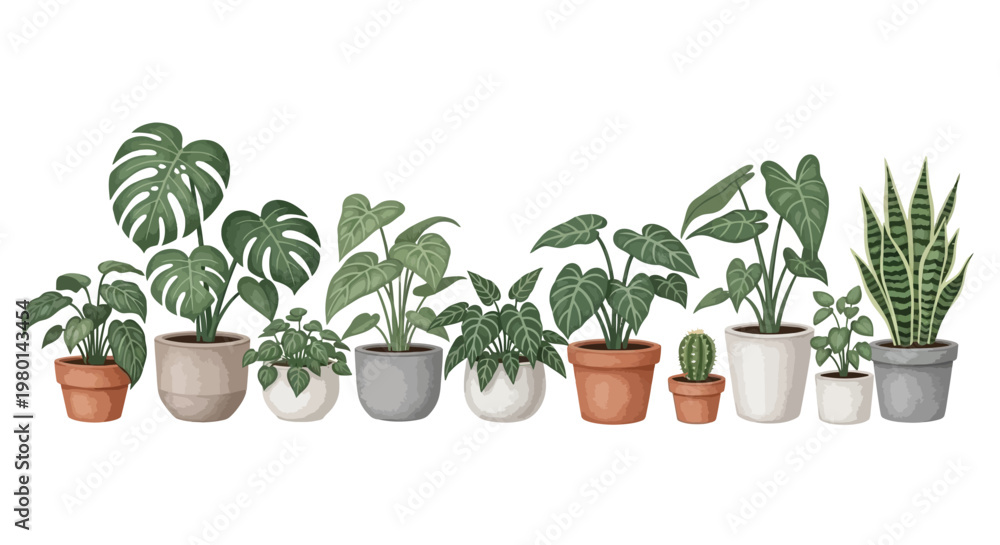 Obraz premium A collection of potted houseplants arranged in a row showcasing diverse foliage and containers