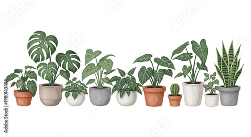 A collection of potted houseplants arranged in a row showcasing diverse foliage and containers