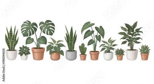 An illustrative arrangement of various potted indoor plants showcasing diverse leaf shapes and textures