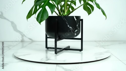 Modern Black Planter with Monstera Plant on Marble Stand.