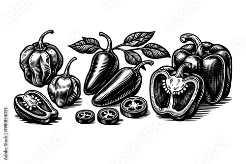 Vintage Woodcut Illustration of Various Chili Pepper Varieties Including Spicy Habanero, Jalapeno with Leaves, and Bell Peppers, Hand-Drawn Engraving Style Monochrome Food Art for Kitchen Decor.