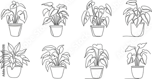 Varied potted houseplants in different growth stages and leaf patterns Vector