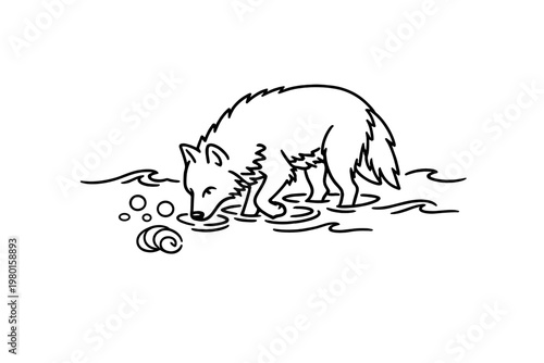 Black line art fox drinking from shallow water