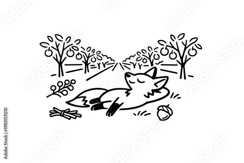 Sleeping fox in orchard line art illustration