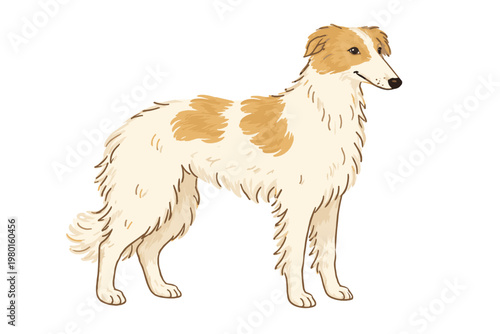 Elegant Russian Borzoi Dog Illustration, Hand-Drawn Naive Brush Sketch Vector of a White and Tan Sighthound Standing in Profile, Minimalist Flat Design Pet Portrait Isolated on White Background