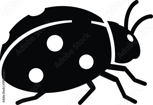 A black ladybug with white spots