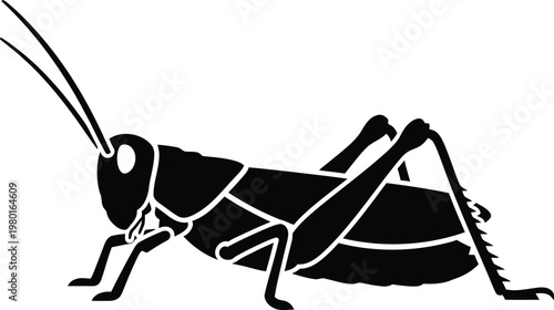 A black and white drawing of a grasshopper